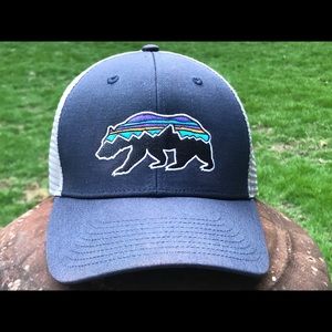 Patagonia Fitz Roy Bear